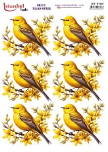 Sulu Transfer Kağıdı 25x35cm ST-1167