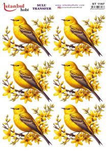 Sulu Transfer Kağıdı 25x35cm ST-1167