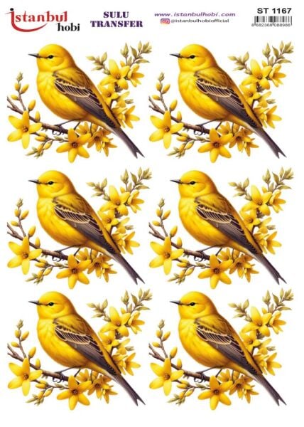 Sulu Transfer Kağıdı 25x35cm ST-1167