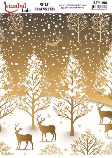Yılbaşı Sulu Transfer 25x35cm STY190