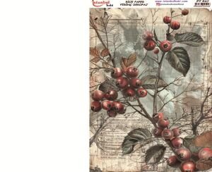 Pirinç Dekopaj Kağıdı 30x42cm PT-627 Çiçek Meyve