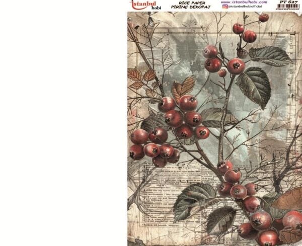 Pirinç Dekopaj Kağıdı 30x42cm PT-627 Çiçek Meyve