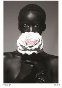 Diamond Pirinç Dekopaj Kağıdı - 2449