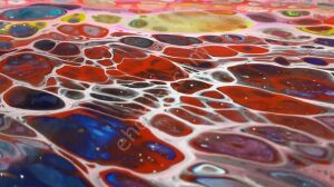 Cadence Silikon Yağı 25ml