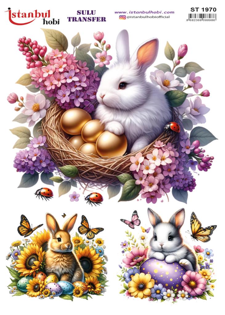 Sulu Transfer Kağıdı 25x35cm ST-1970