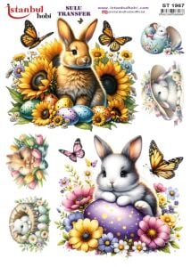 Sulu Transfer Kağıdı 25x35cm ST-1967