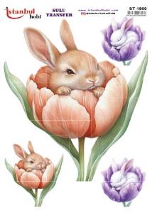 Sulu Transfer Kağıdı 25x35cm ST-1863