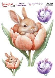 Sulu Transfer Kağıdı 25x35cm ST-1863