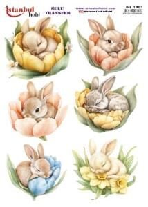 Sulu Transfer Kağıdı 25x35cm ST-1861