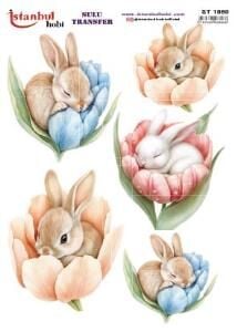 Sulu Transfer Kağıdı 25x35cm ST-1860