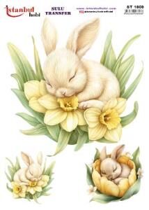 Sulu Transfer Kağıdı 25x35cm ST-1859