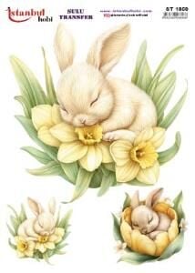 Sulu Transfer Kağıdı 25x35cm ST-1859