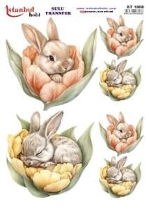 Sulu Transfer Kağıdı 25x35cm ST-1858