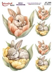 Sulu Transfer Kağıdı 25x35cm ST-1858