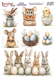 Sulu Transfer Kağıdı 25x35cm ST-1857