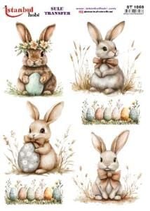 Sulu Transfer Kağıdı 25x35cm ST-1856