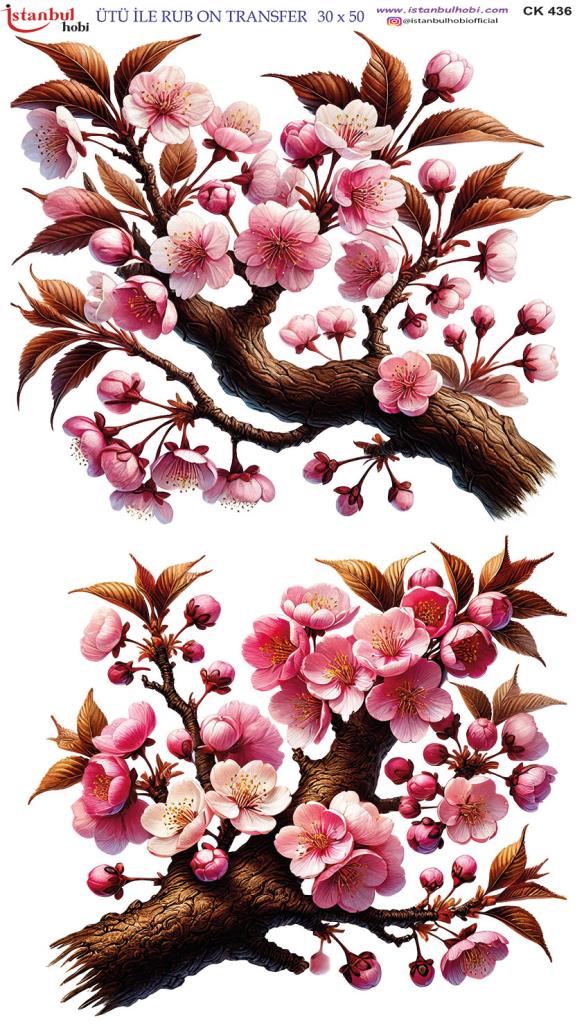 Ütü İle Rub On Transfer Kağıdı 30x50cm CK436