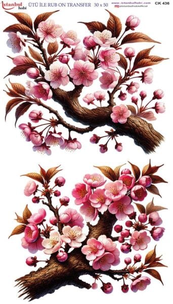 Ütü İle Rub On Transfer Kağıdı 30x50cm CK436