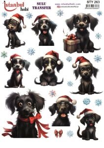 Yılbaşı Sulu Transfer 25x35cm STY263