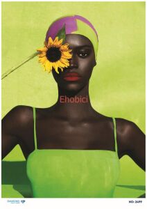 Diamond Pirinç Dekopaj Kağıdı - 2499