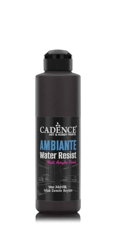 Cadence Ambiante Islak Zemin Boyası AW24 Siyah 250ML + Katalizör 10GR