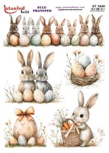 Sulu Transfer Kağıdı 25x35cm ST-1853