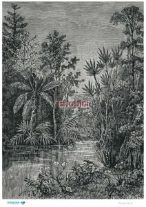 Diamond Pirinç Dekopaj Kağıdı - 008