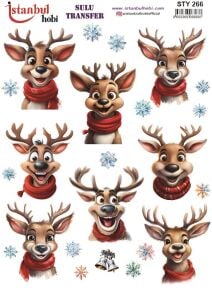 Yılbaşı Sulu Transfer 25x35cm STY266