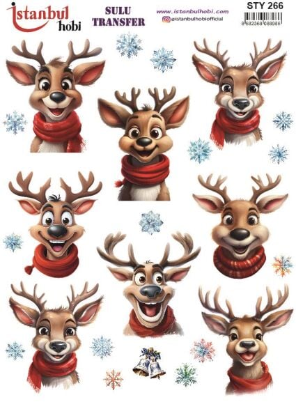 Yılbaşı Sulu Transfer 25x35cm STY266