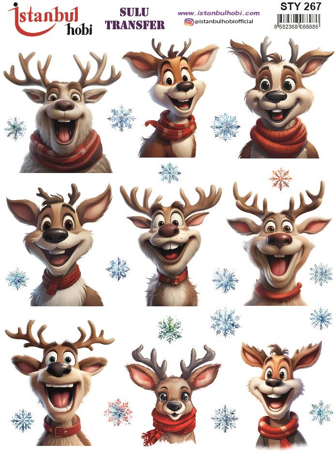 Yılbaşı Sulu Transfer 25x35cm STY267