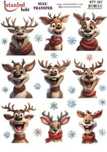 Yılbaşı Sulu Transfer 25x35cm STY267