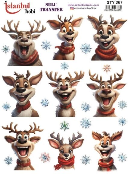 Yılbaşı Sulu Transfer 25x35cm STY267