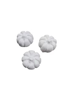 Bal Kabağı Mini 3 lü set Çap 2cm