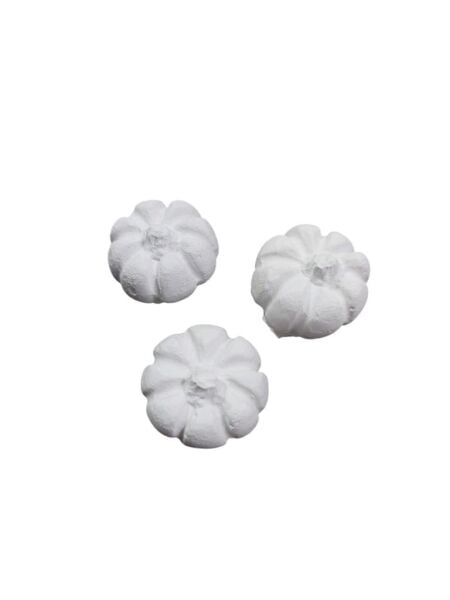Bal Kabağı Mini 3 lü set Çap 2cm