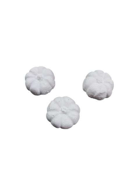 Bal Kabağı Mini 3 lü set Çap 1,5cm