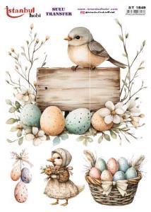 Sulu Transfer Kağıdı 25x35cm ST-1849