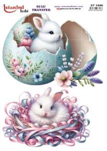 Sulu Transfer Kağıdı 25x35cm ST-1505