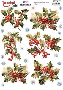 Yılbaşı Sulu Transfer 25x35cm STY277