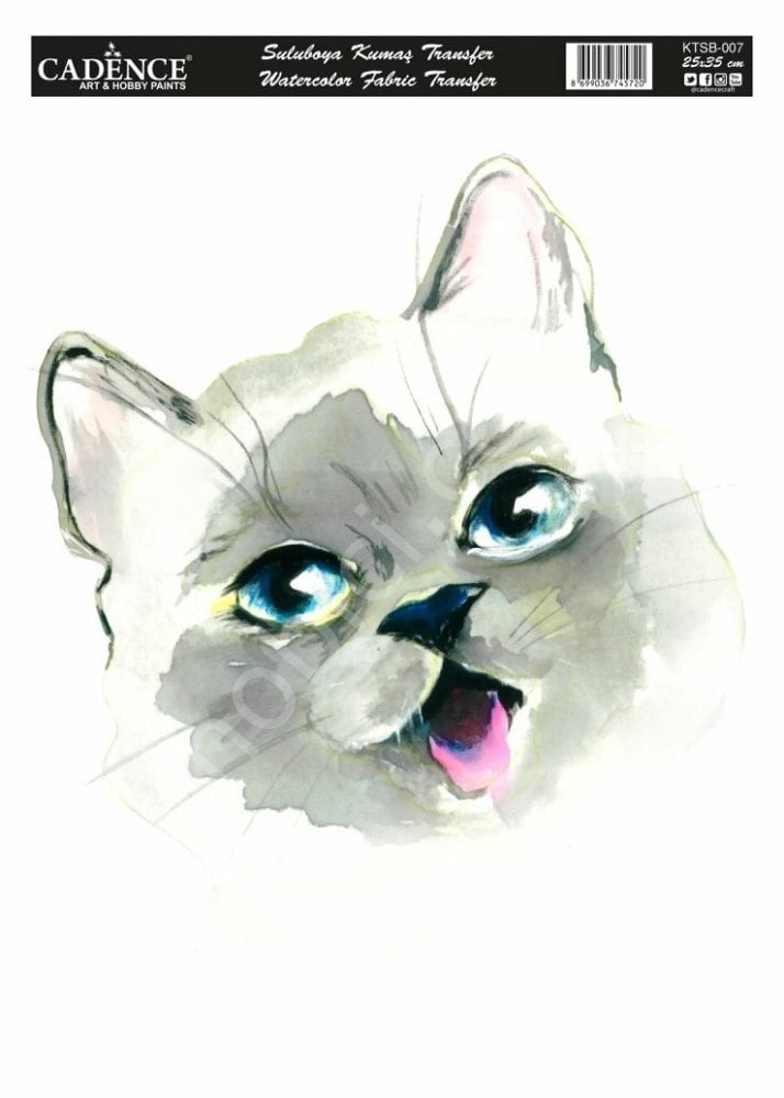 KTSB-007 Cadence Suluboya Kumaş Transfer 25x35cm