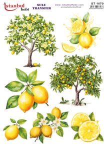 Sulu Transfer Kağıdı 25x35cm ST-1070