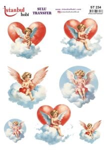 Sulu Transfer Kağıdı 25x35cm ST-234