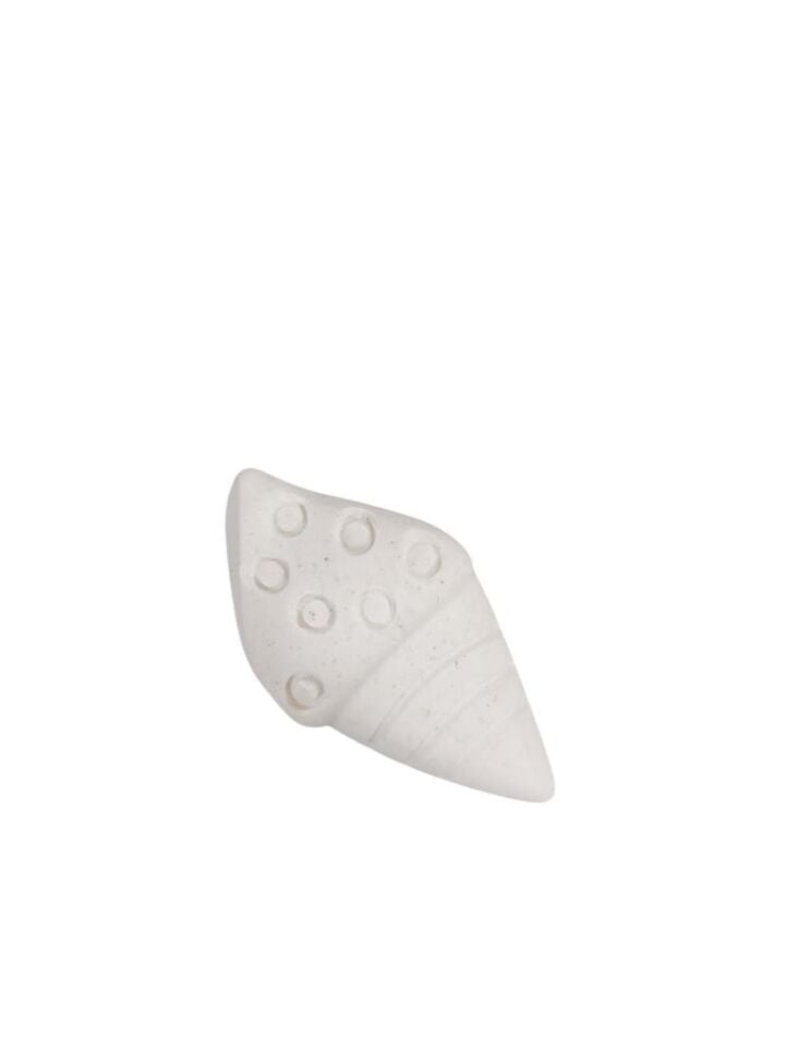 Deniz Kabuğu Figür 5x2,5cm