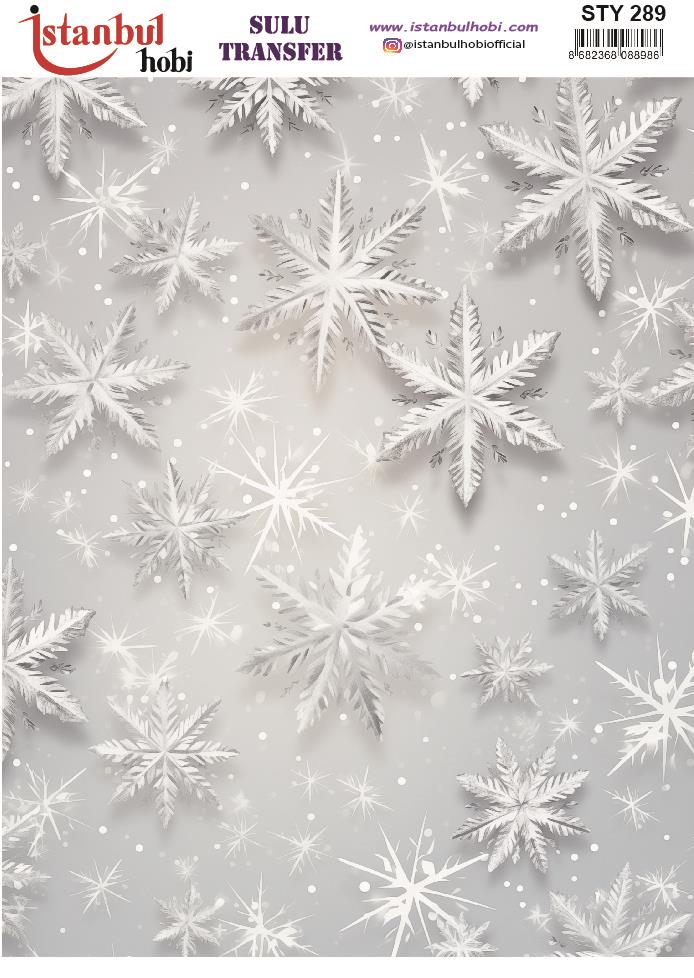 Yılbaşı Sulu Transfer 25x35cm STY289