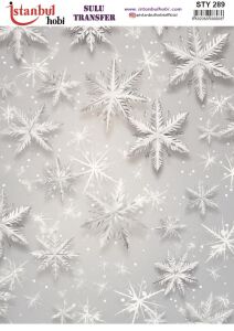Yılbaşı Sulu Transfer 25x35cm STY289