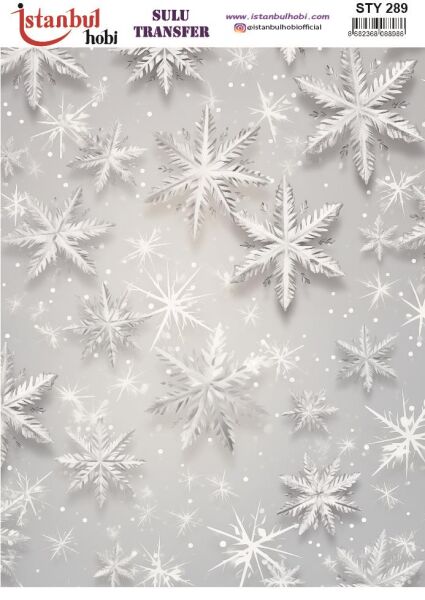Yılbaşı Sulu Transfer 25x35cm STY289