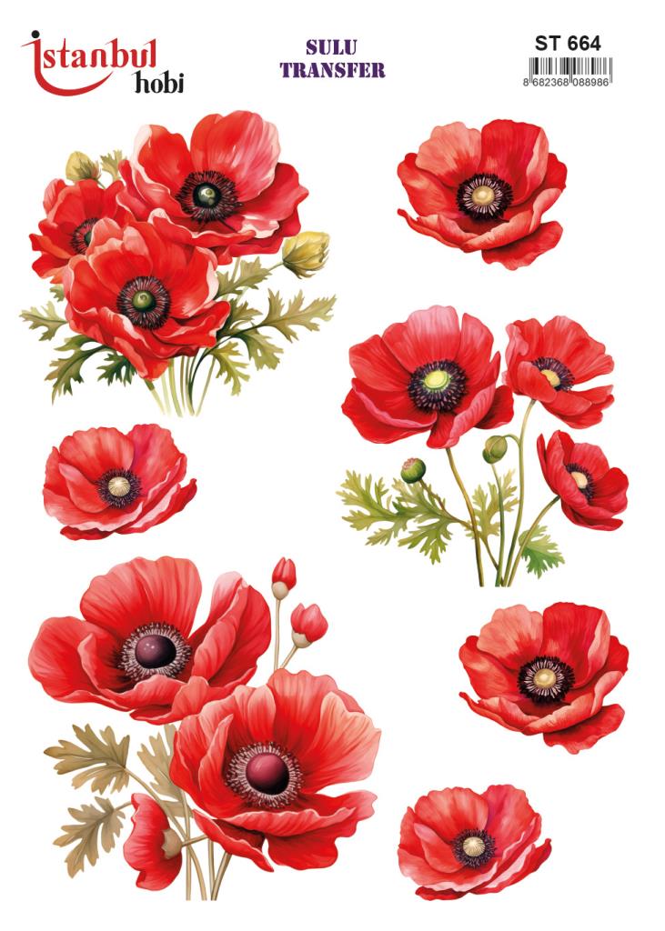 Sulu Transfer Kağıdı 25x35cm ST-664